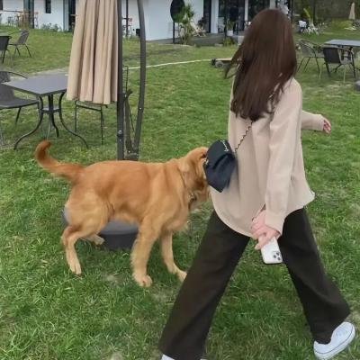 非对称较量